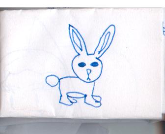Qui est ce petit lapin?